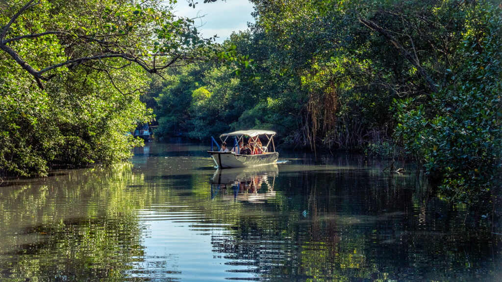 Ilha da Gigoia - Rio de Janeiro
