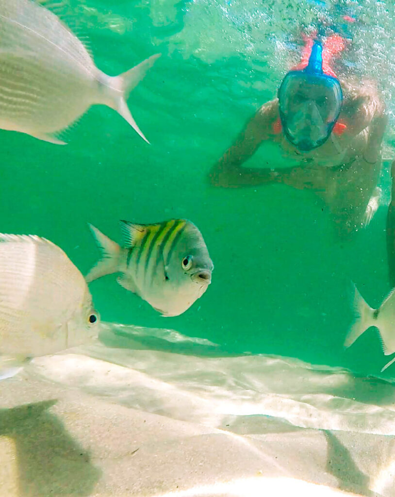 Ilhas Paradisíacas Angra dos Reis